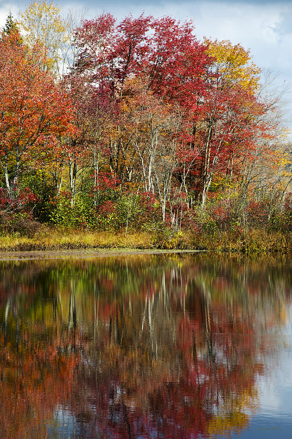 Autumn Reflection Landscape Photograph by Christina Rollo