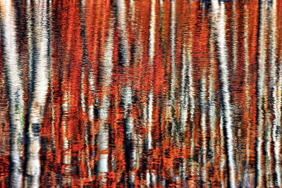 Nature Photograph - Autumn Reflection by Marcia Colelli