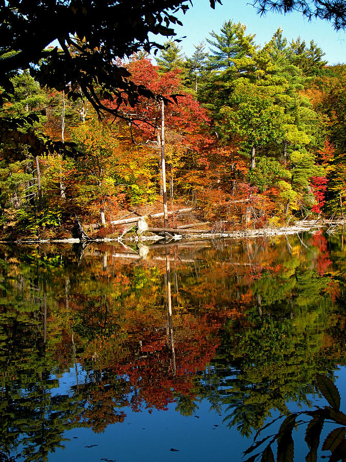 Fall Photograph - Autumn reflection by Meagan Johnson