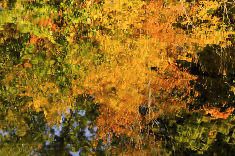 Autumn Reflection Photograph by Michelle Joseph-Long