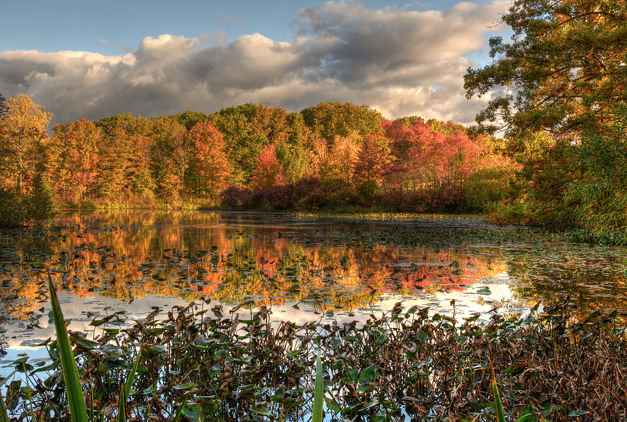 Autumn Reflection on Foster Pond Photograph by At Lands End Photography