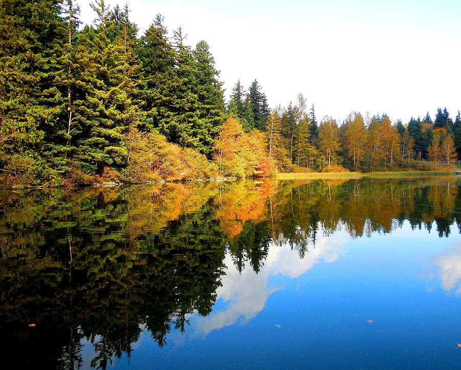 Autumn Reflection On Lake Padden Photograph by Karen Molenaar Terrell