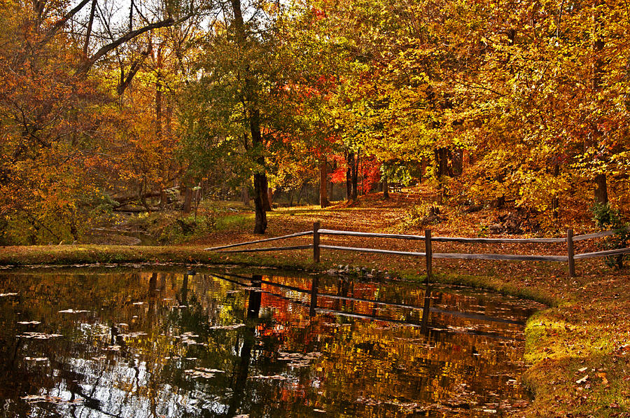 Autumn Reflection on Whitaker Manor Pond Photograph by Michael Whitaker