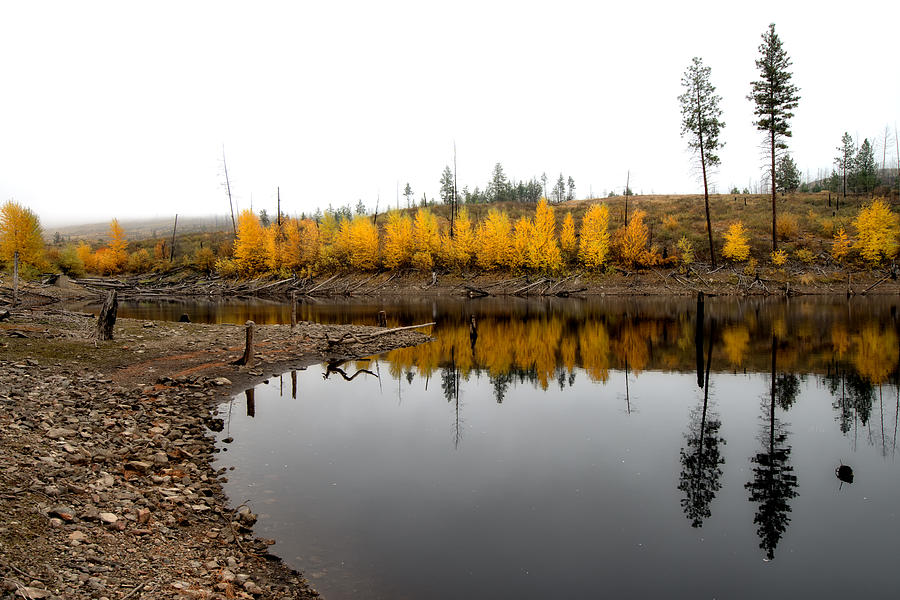 Autumn Reflection Pair Photograph by Allan Van Gasbeck