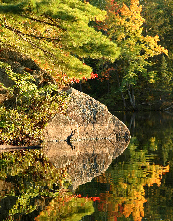 Autumn Reflection. Photograph - Trees and boulder reflected Photograph by Rob Huntley