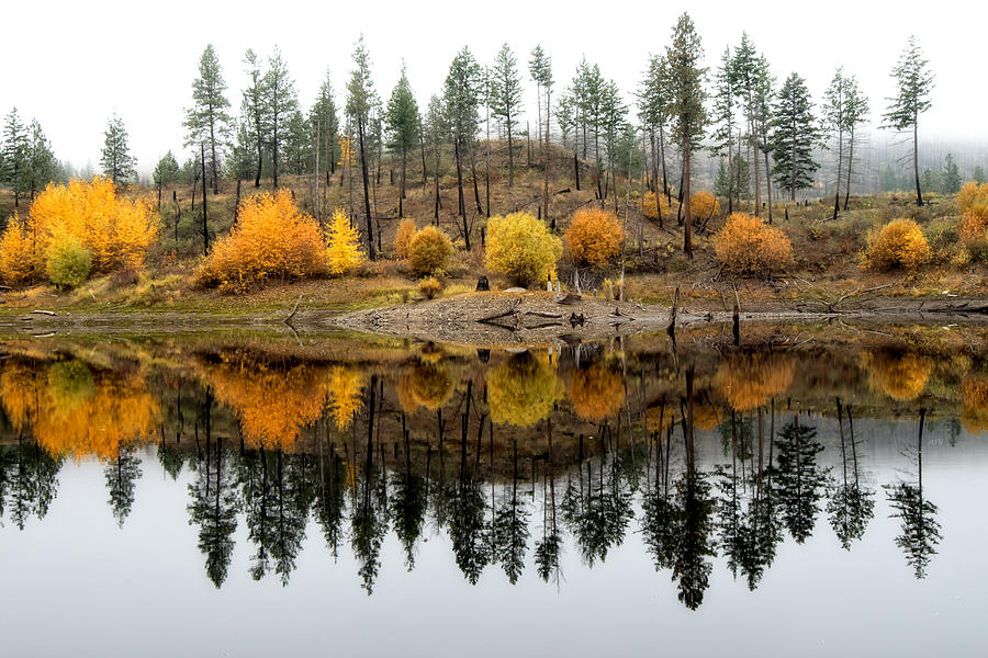 Autumn Reflection Splendor Photograph by Allan Van Gasbeck
