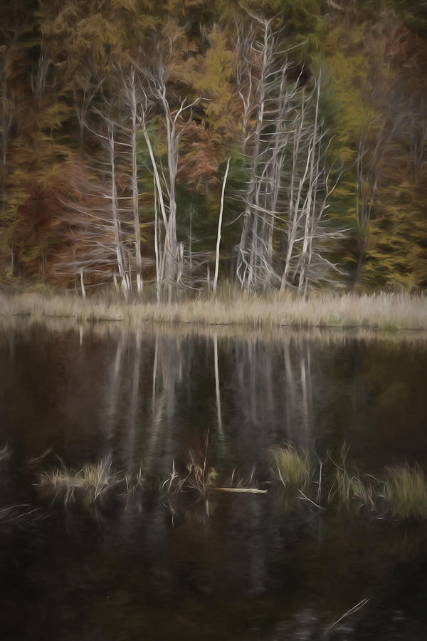 Autumn Reflection Photograph by Tom Singleton