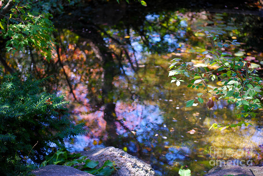 Claude Monet Photograph - Autumn Botanic Garden Reflections  by Nancy Mueller