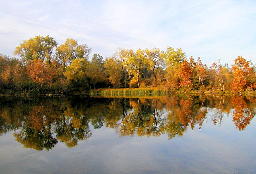 Autumn Reflections Photograph by AJ  Schibig