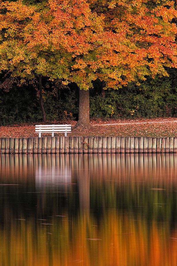 Autumn Reflections Photograph by Andrew Soundarajan