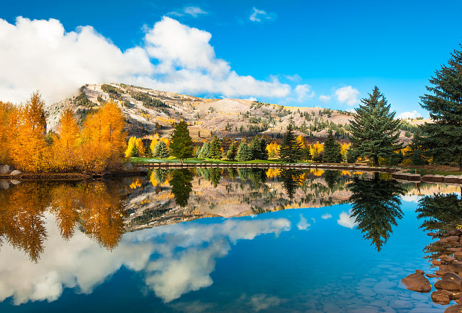Autumn Reflections - Aspen Colorado Photograph
