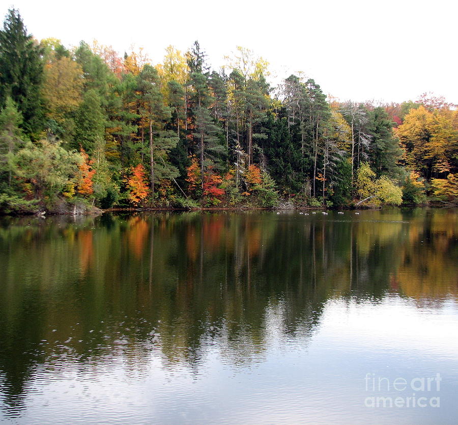 Tree Photograph - Autumn Reflections at the Reservoir by Rose Santuci-Sofranko