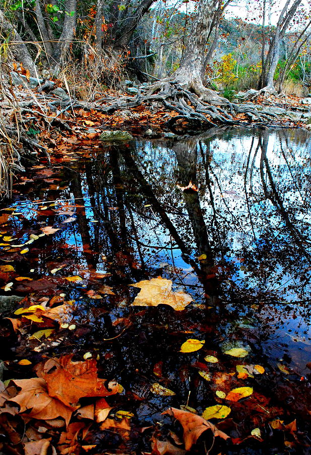 Autumn Reflections Photograph by Bindu Viswanathan