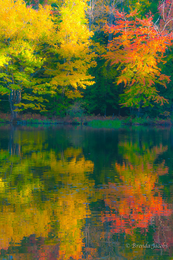 Autumn Reflections Photograph by Brenda Jacobs