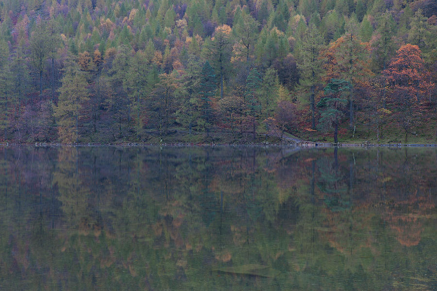 Autumn Reflections Buttermere Photograph by Nick Atkin