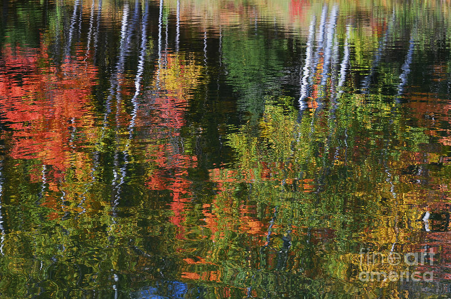 Autumn Reflections Photograph by Dan Hefle