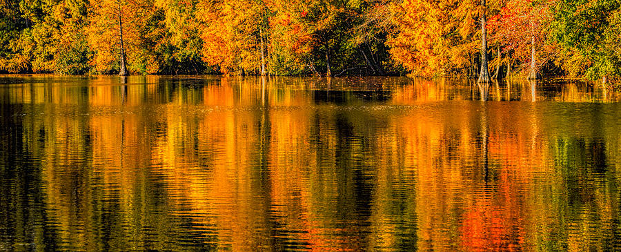 Autumn Reflections Photograph by David Kay