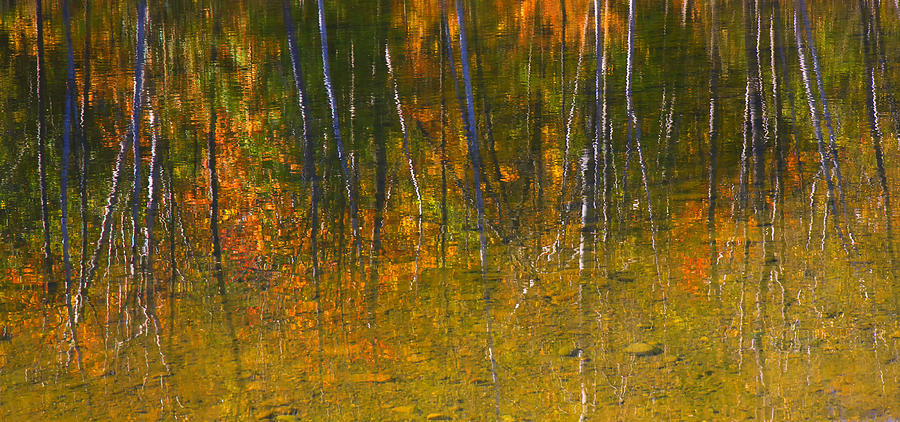 Autumn Reflections Photograph by Gary Hall