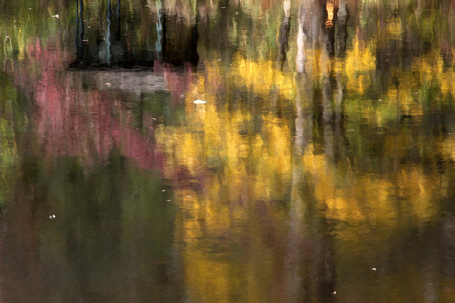 Autumn Reflections Photograph by Gary Regulski