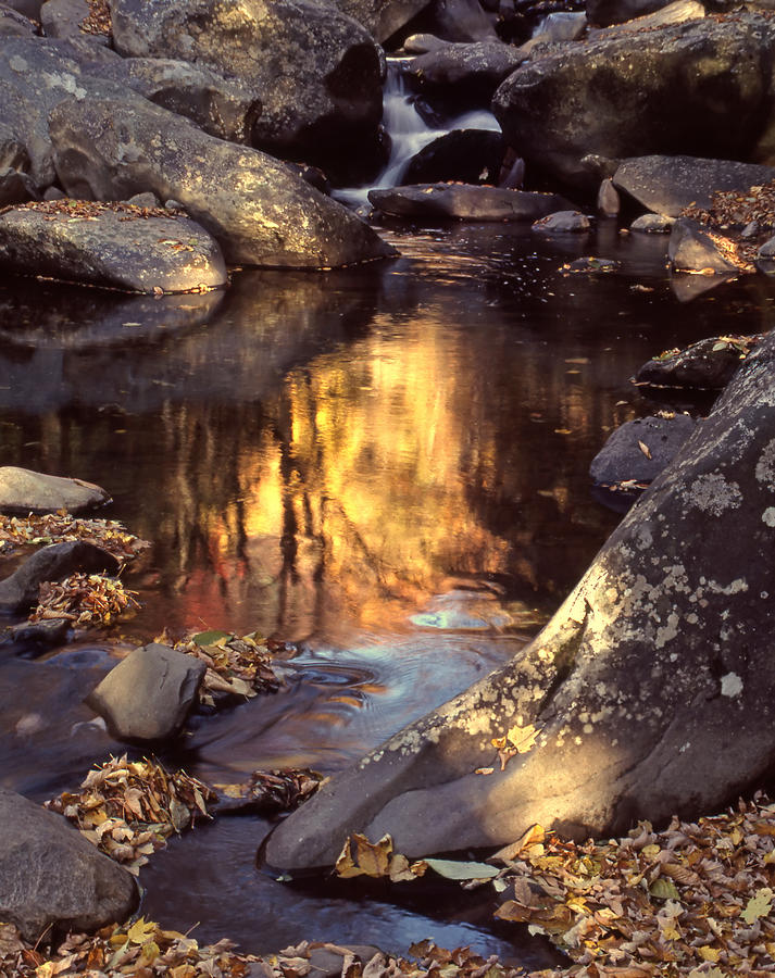 Autumn Reflections Photograph by Harold Rau