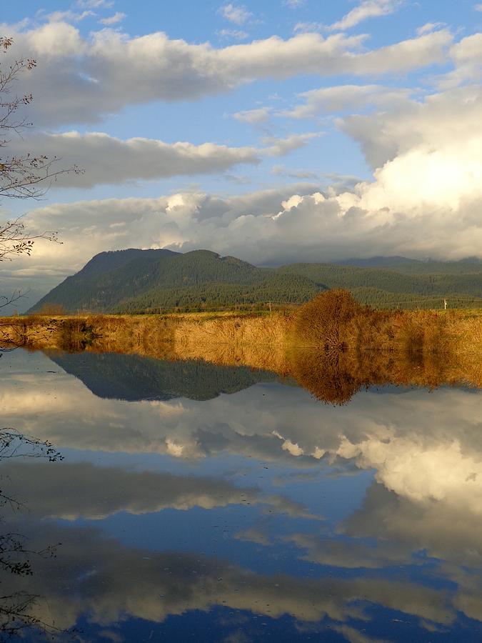 Autumn Reflections - Alouette River, Maple Ridge, British Columbia Photograph by Ian McAdie