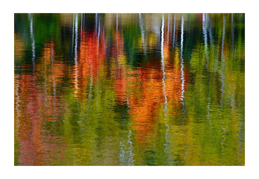 Autumn Reflections II Photograph by Dan Hefle