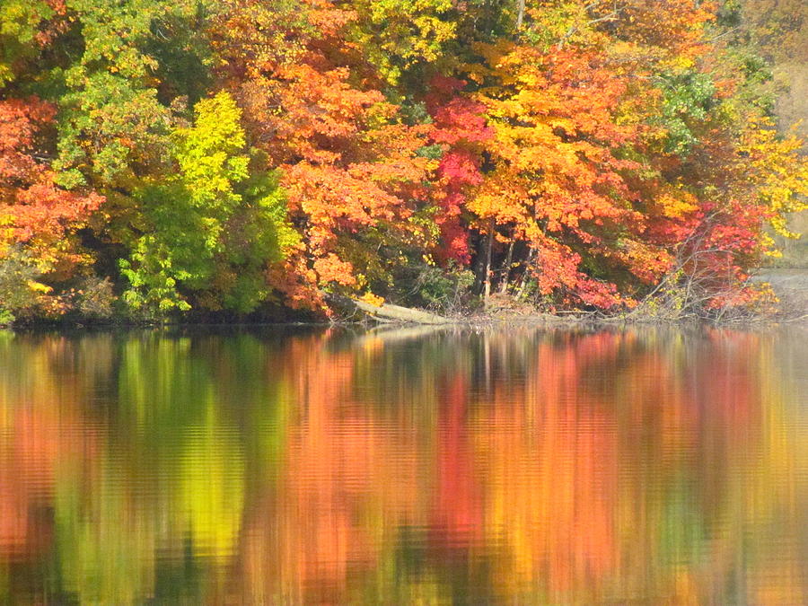 Autumn Reflections II Photograph by Lori Frisch