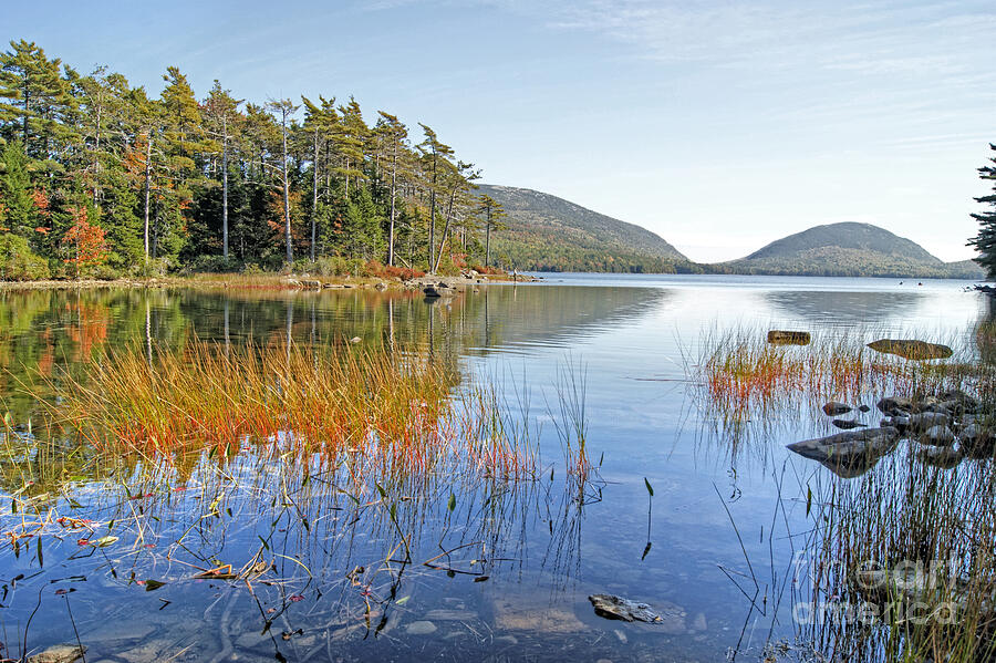 Autumn Reflections in Acadia. Photograph by David Birchall