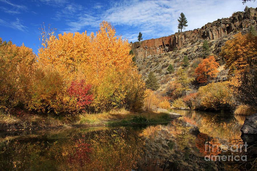 Autumn Reflections In The Susan River Canyon Photograph by James Eddy