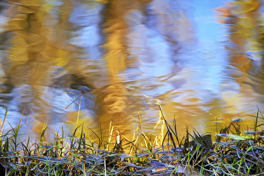 Autumn Reflections Photograph by Jason Politte