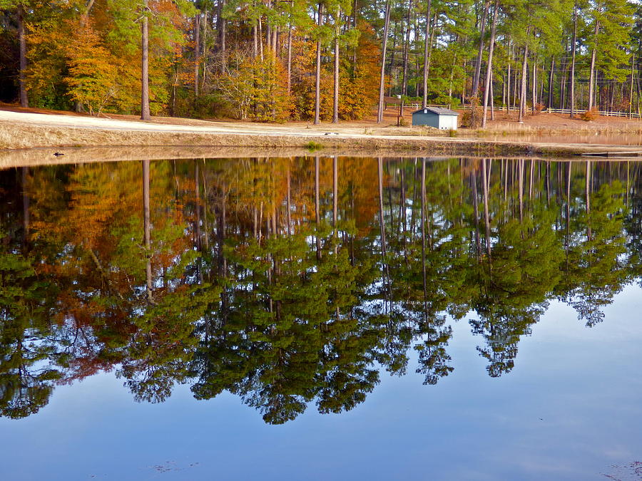 Autumn Reflections Photograph by Jean Wright