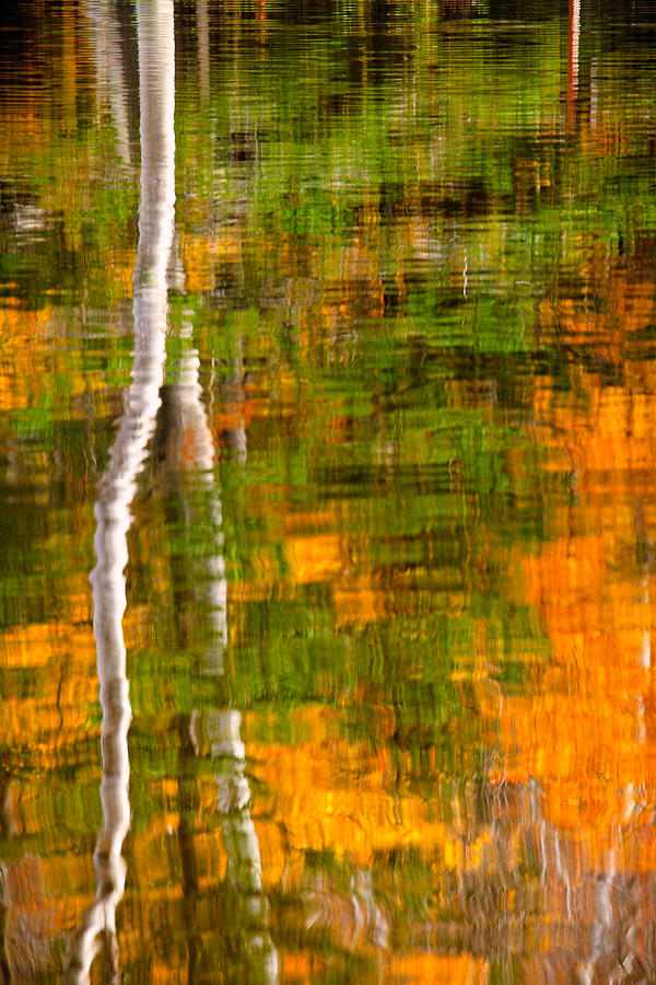 Autumn Reflections Photograph by Jeff Sinon