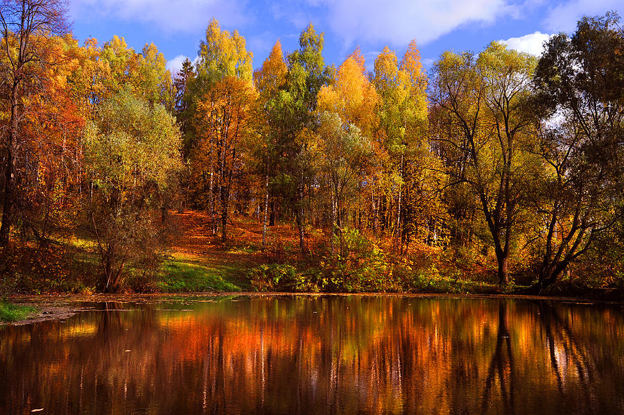 Autumn Reflections Photograph by Jenny Rainbow