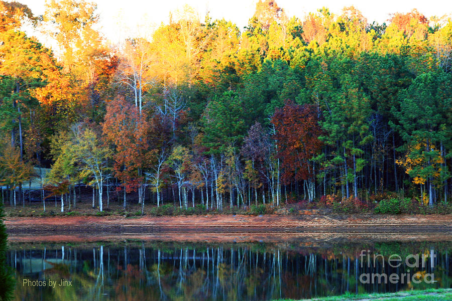 Landscape Photograph - Autumn Reflections by Jinx Farmer