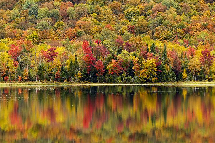 Autumn Reflections Photograph by John Vose