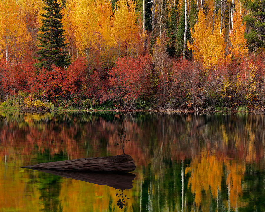 Autumn Reflections Photograph by Leland D Howard