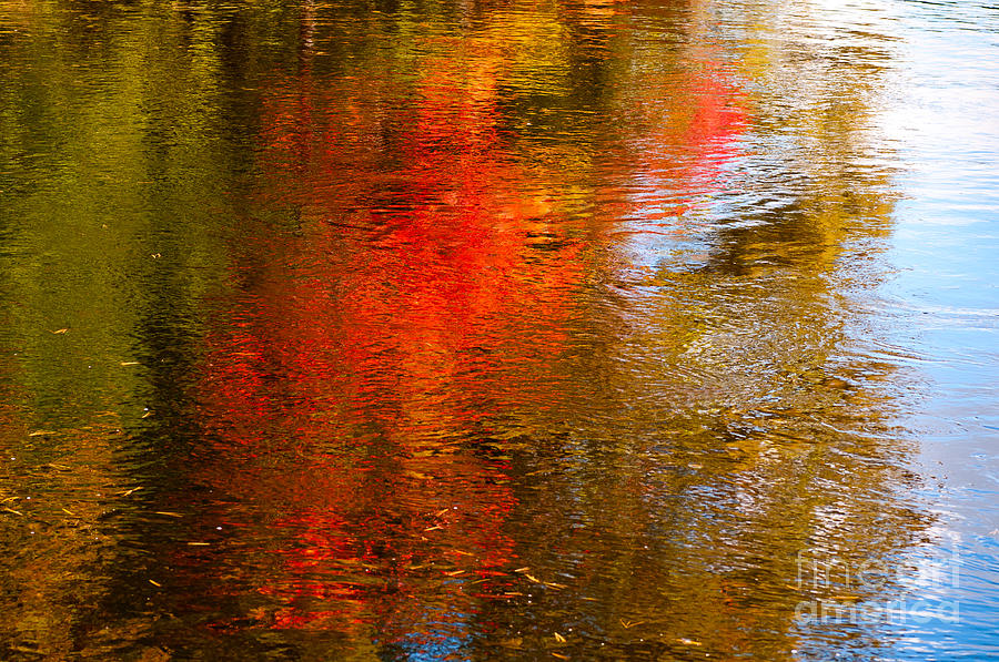 Autumn Reflections Photograph by Les Palenik