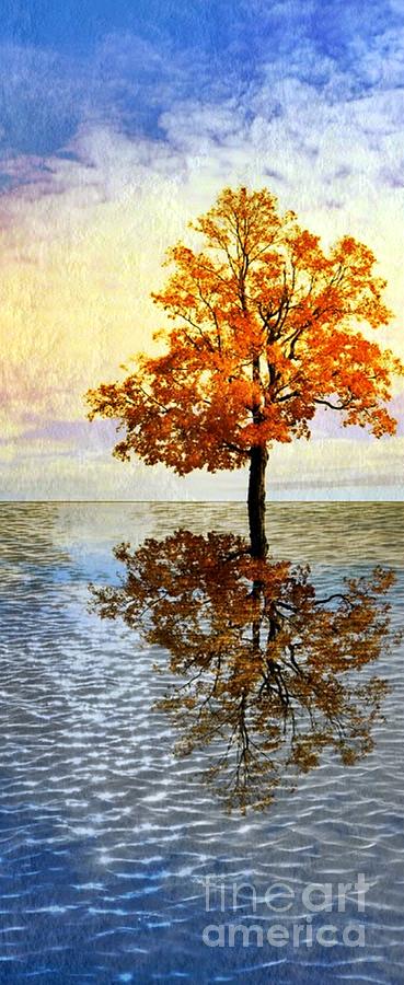 Autumn Reflections Photograph by Lilliana Mendez
