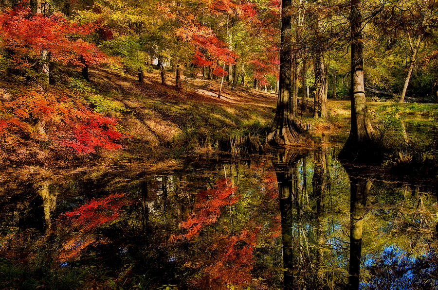 Autumn Reflections Photograph by Michael Whitaker