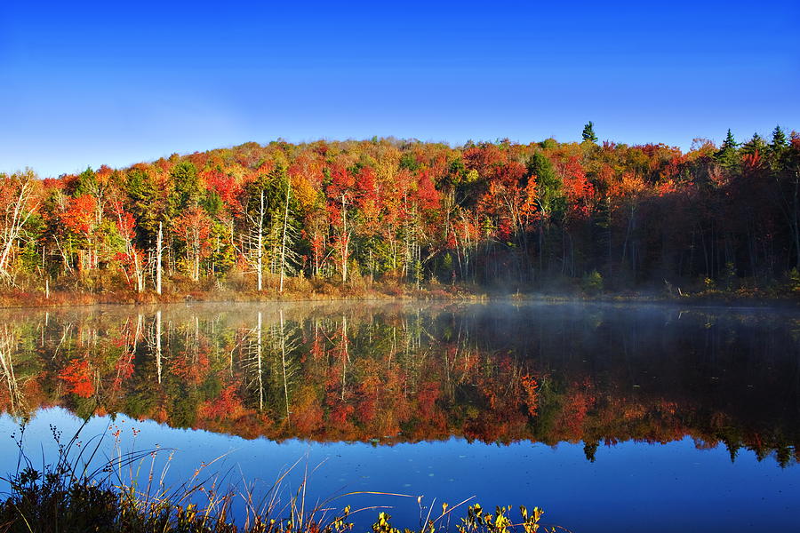 Autumn Reflections on a NH Bog Photograph by John Vose