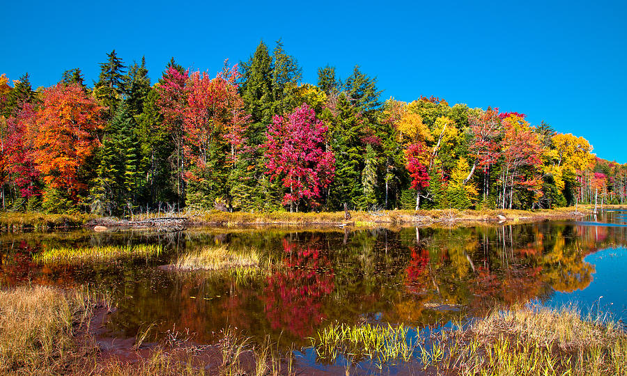Autumn Reflections on Fly Pond Photograph by David Patterson