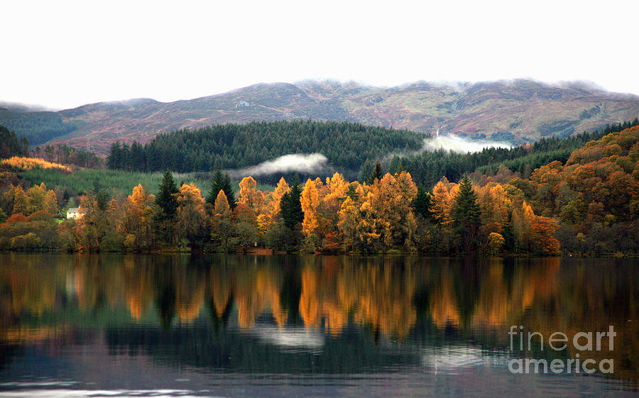 Tree Photograph - Autumn Reflections On Loch Ard  by David Cairns