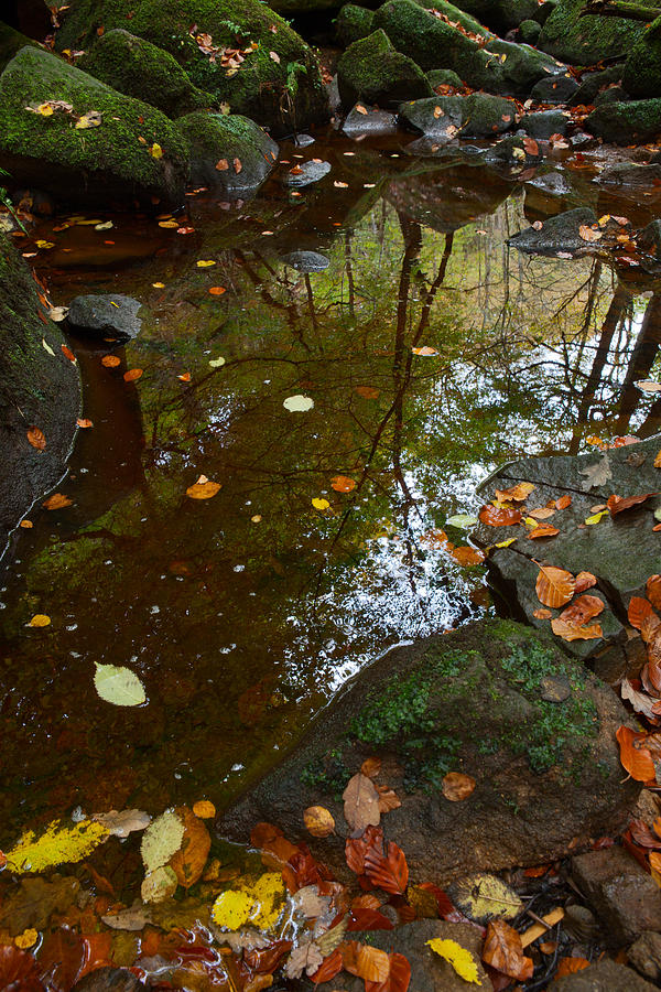 Autumn Reflections Padley Gorge Photograph by Nick Atkin