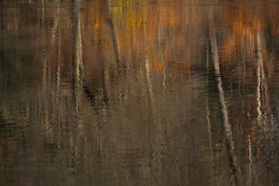 Autumn Reflections Photograph by Steve Gravano