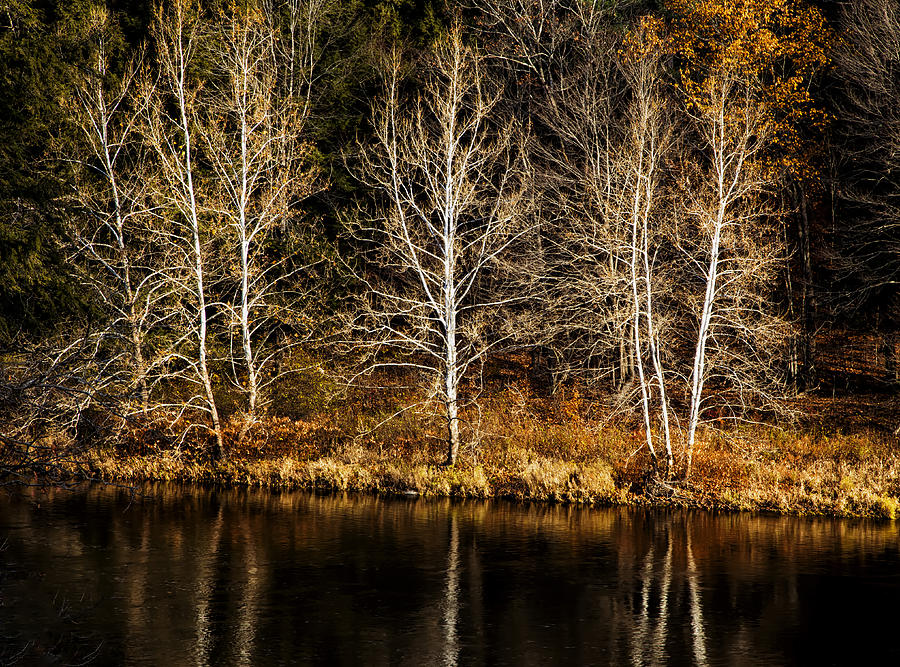 Autumn Reflections Photograph by Tom Singleton