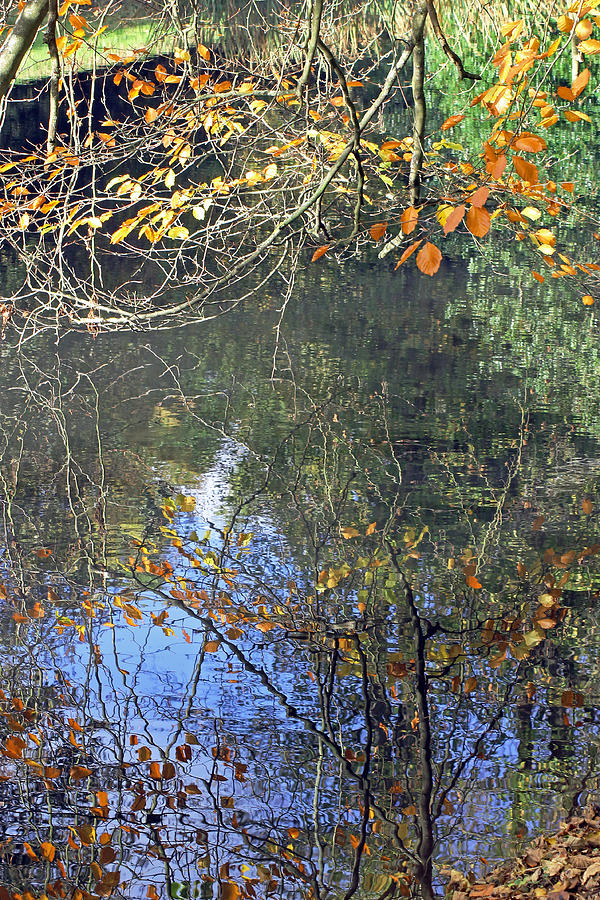 Autumn Reflections Photograph by Tony Murtagh
