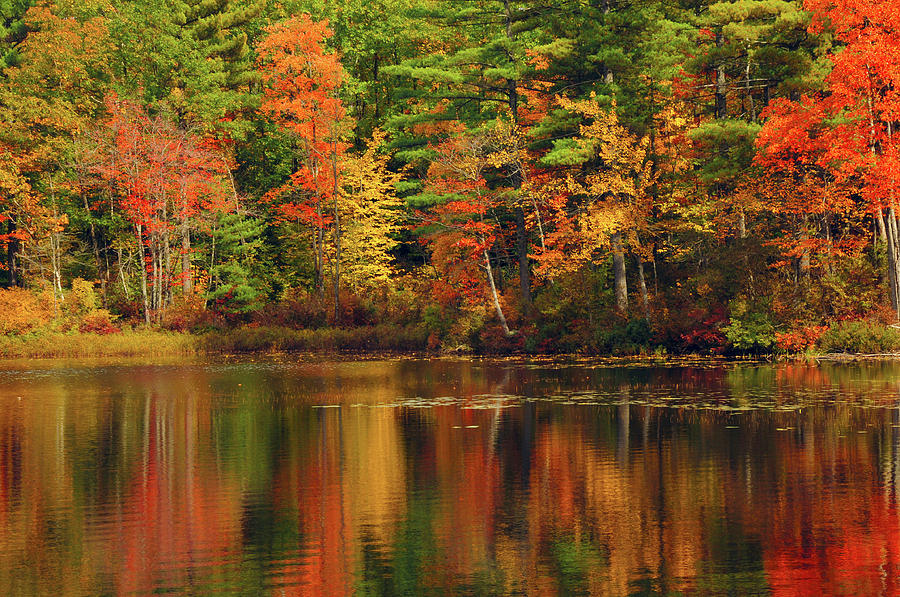 Autumn Reflections, Trickey Pond Photograph by Michel Hersen - Fine Art ...