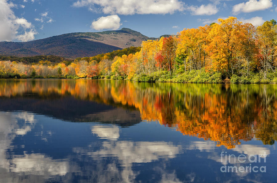 Autumn Reflects Photograph