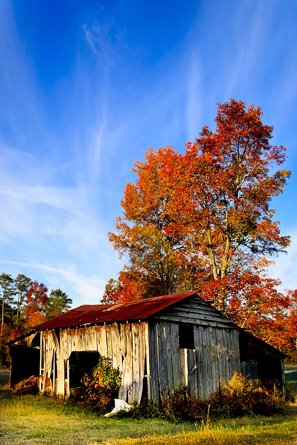 Landscape Photograph - Autumn Remembered in North Georgia by Mark E Tisdale
