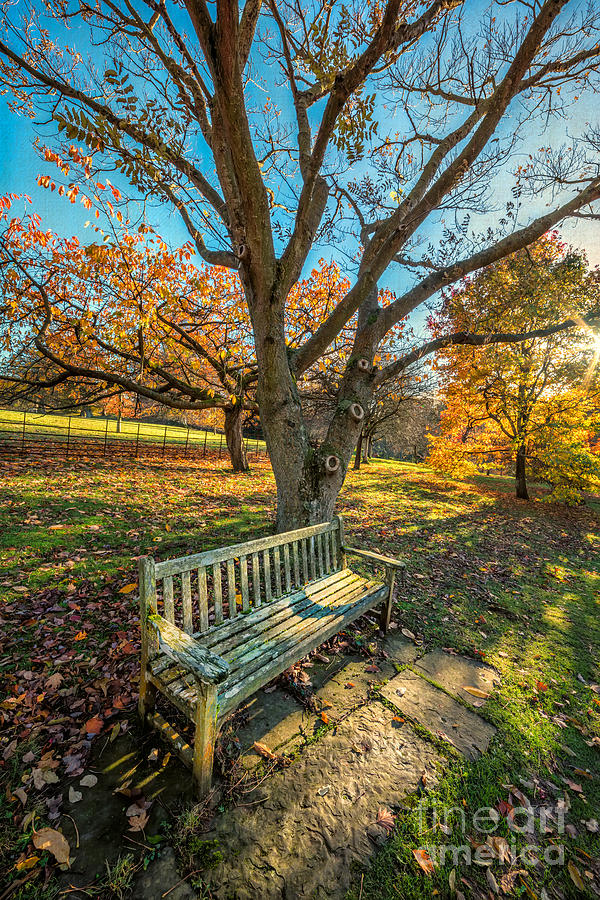 Autumn Rest Photograph by Adrian Evans